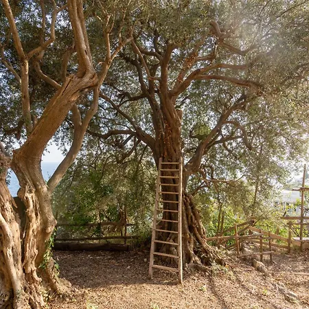 Apartman Alma Domus Ancient House Recently Opened *
